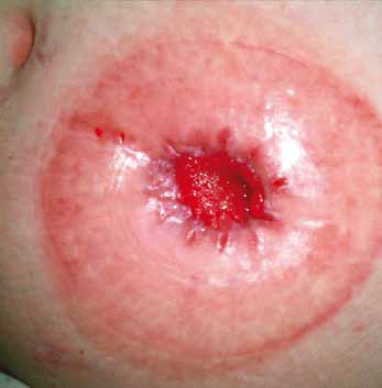 U2408: nasza_troska_36_2012.bmp