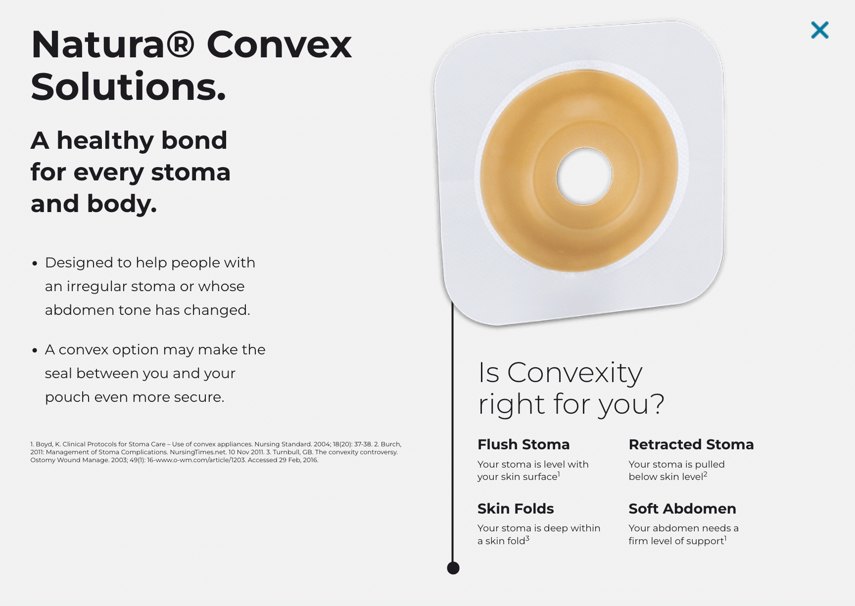 Κυρτή τεχνολογία